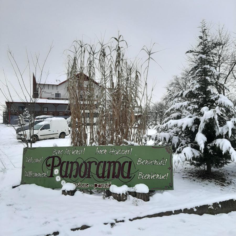 Panorama Cehu Silvaniei 外观 照片