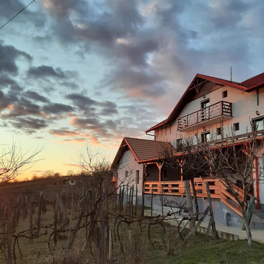 Panorama Cehu Silvaniei 外观 照片