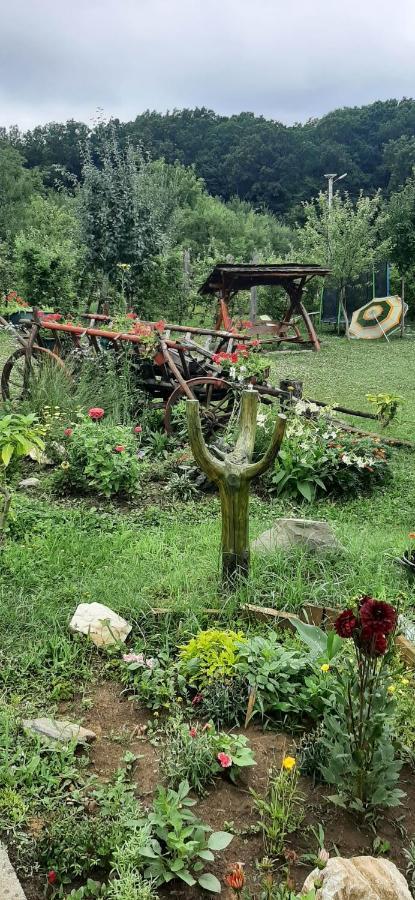Panorama Cehu Silvaniei 外观 照片