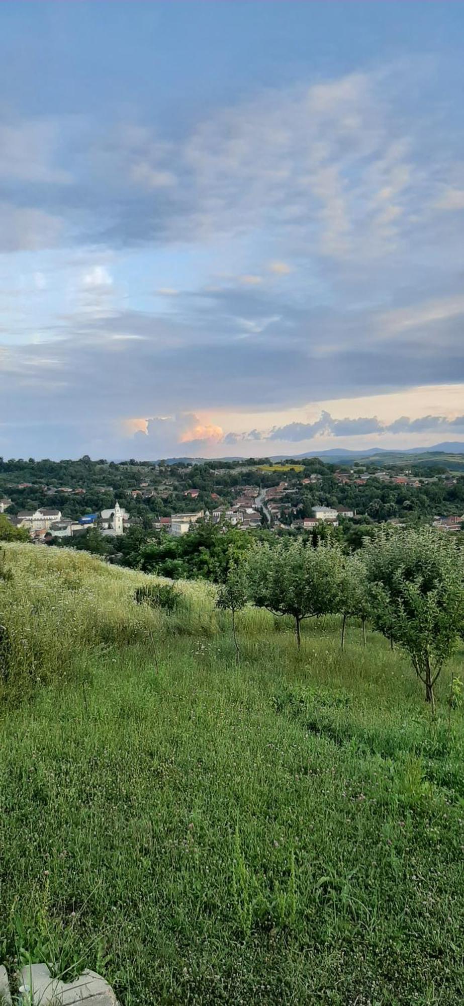 Panorama Cehu Silvaniei 客房 照片