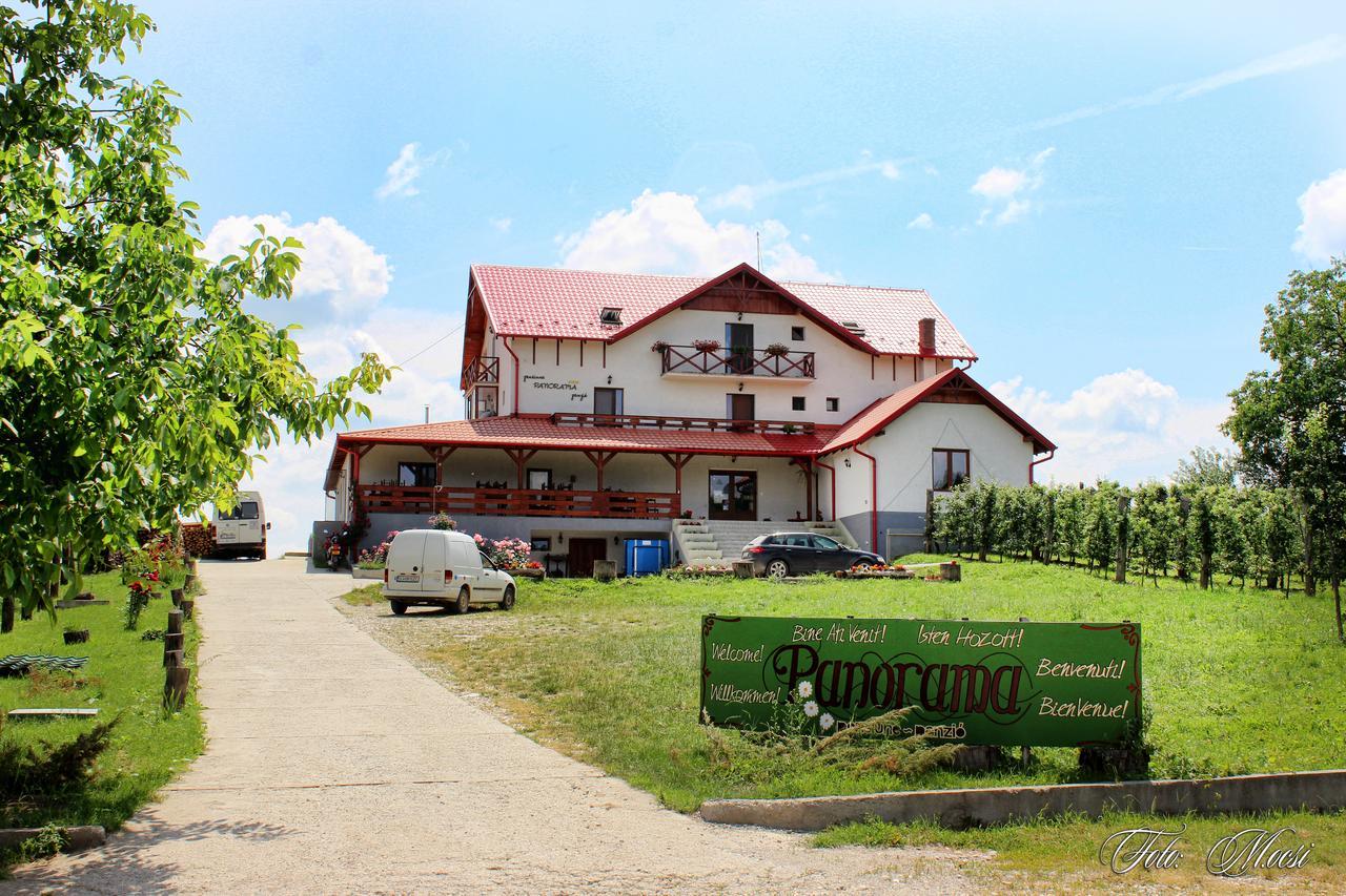 Panorama Cehu Silvaniei 外观 照片