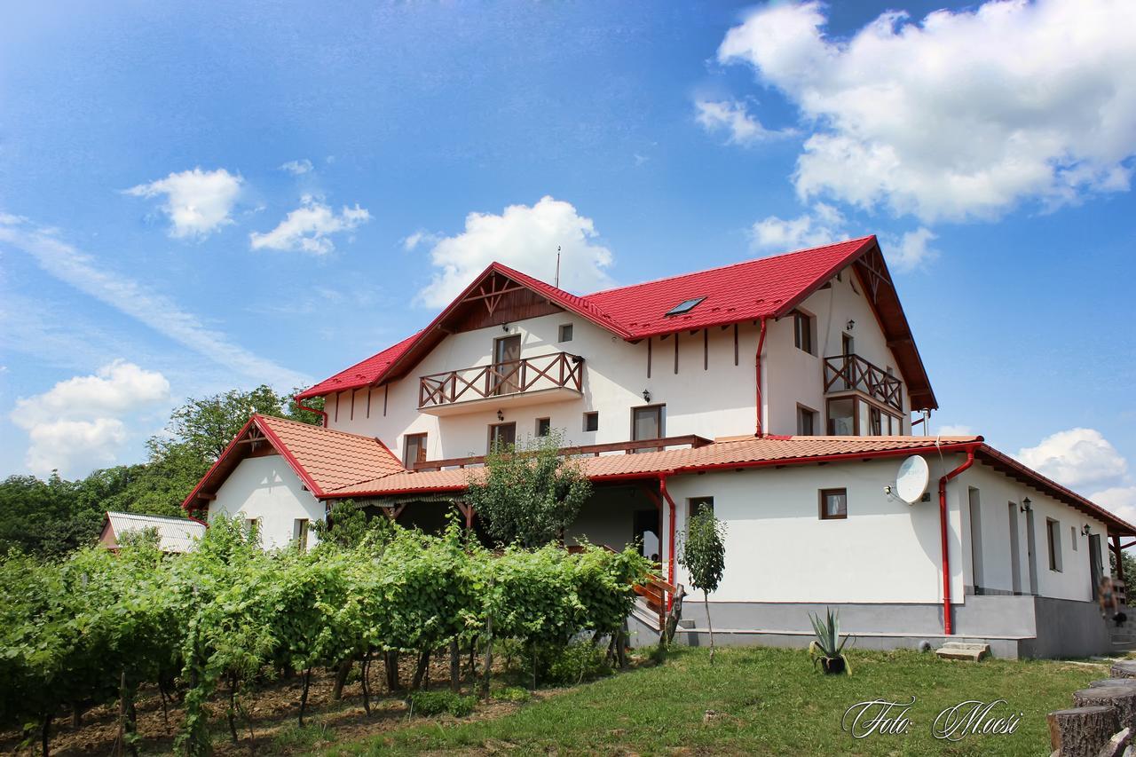 Panorama Cehu Silvaniei 外观 照片