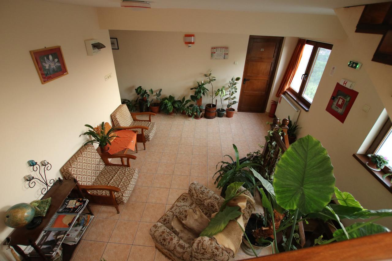 Panorama Cehu Silvaniei 外观 照片